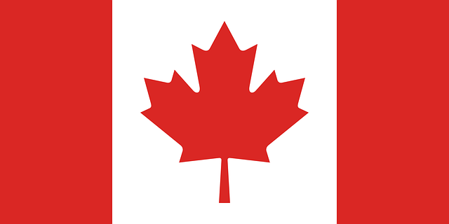 Canada virtual number