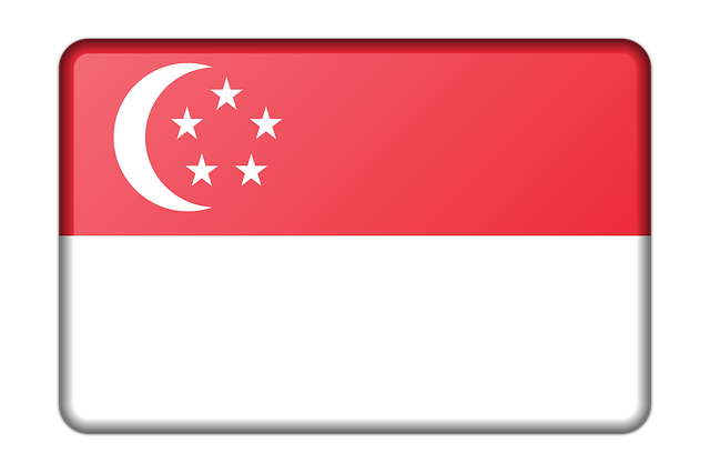 Singapore virtual number