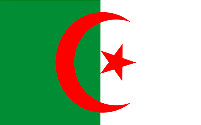 algeria virtual number